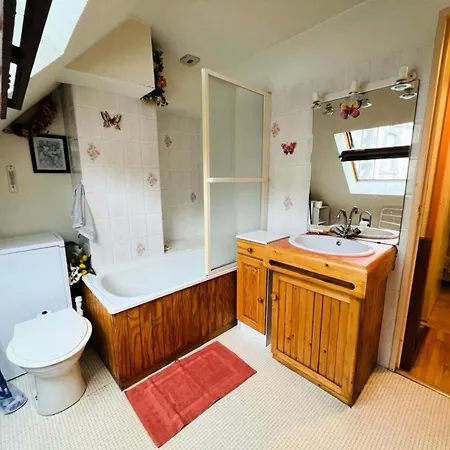 Lienz - Joli T2 En Duplex Expose Sud Mae-8054 *