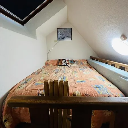 Lienz - Joli T2 En Duplex Expose Sud Mae-8054 Apartament Barèges