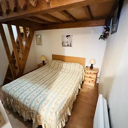 Apartman Lienz - Joli T2 En Duplex Expose Sud Mae-8054 Barèges
